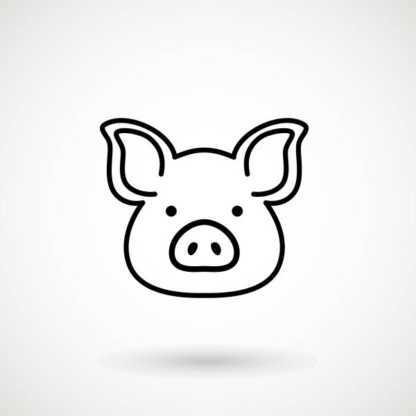 Pig head